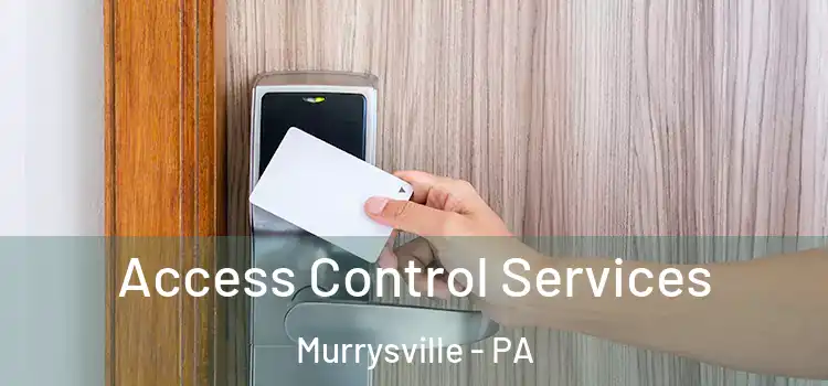 Access Control Services Murrysville - PA