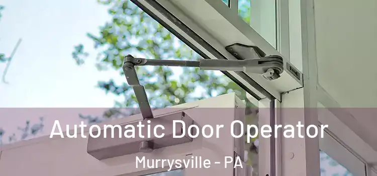 Automatic Door Operator Murrysville - PA