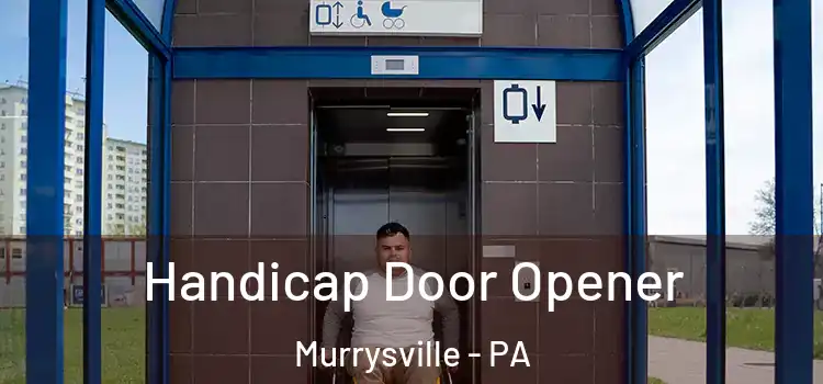 Handicap Door Opener Murrysville - PA