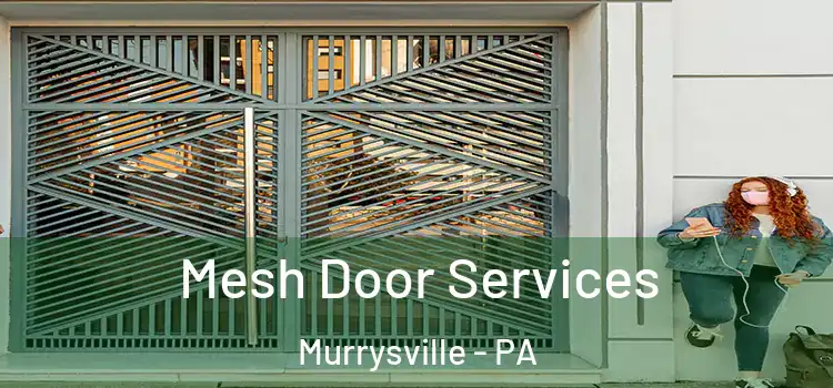 Mesh Door Services Murrysville - PA