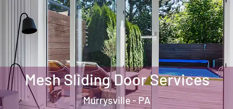 Mesh Sliding Door Services Murrysville - PA